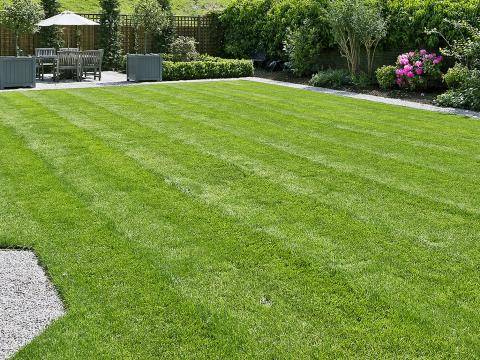 How to maintain a large lawn