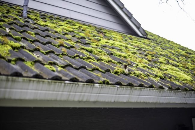 How to Remove Moss from Roof - Bob Vi