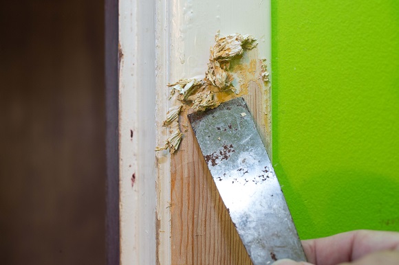 How to Remove Paint from Wood - Wood Finishes Dire