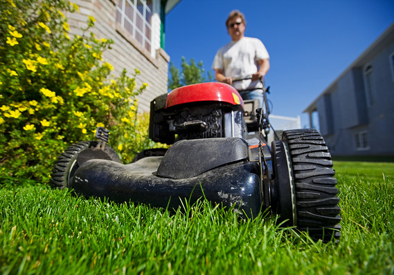 10 things lawn services won't tell you - MarketWat