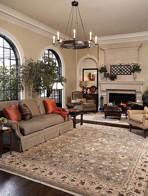 Area Rugs for Living Room | Living room area rugs, Rugs in living .