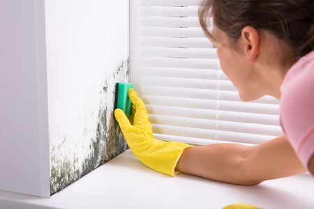 How to Get Rid of Mold From Every Home Surfa