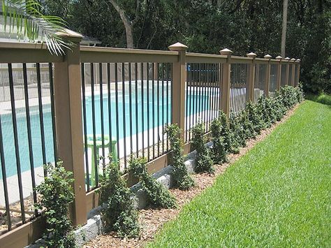 Pool fence ideas to make the pool look
amazing
