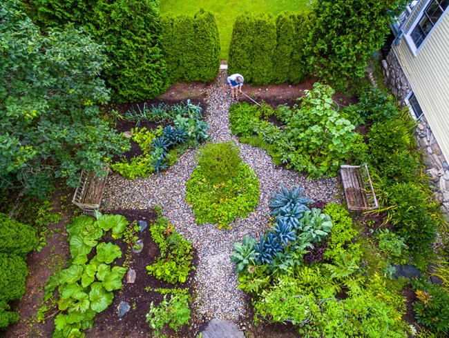 10 Home Garden Trends That are Surging in 20