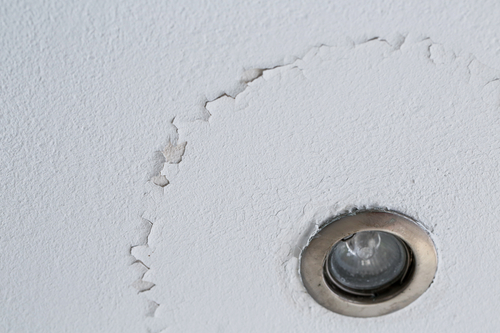 6 Indicators That Your Home May Have Hidden Water Damage | Ryte