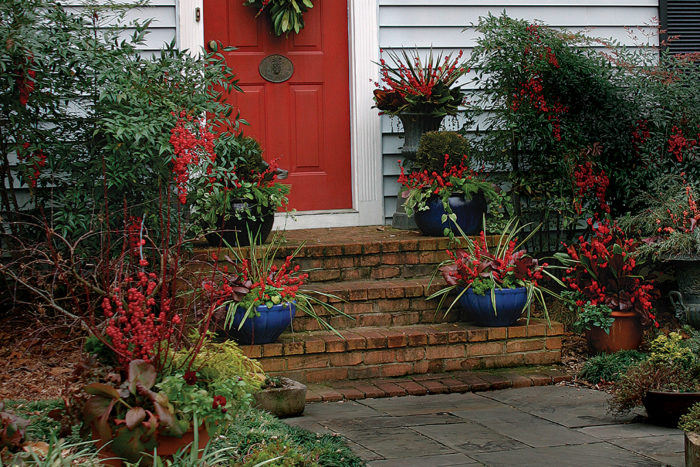 The Best Winter Containers From Outdoor Planters to Window Boxes .