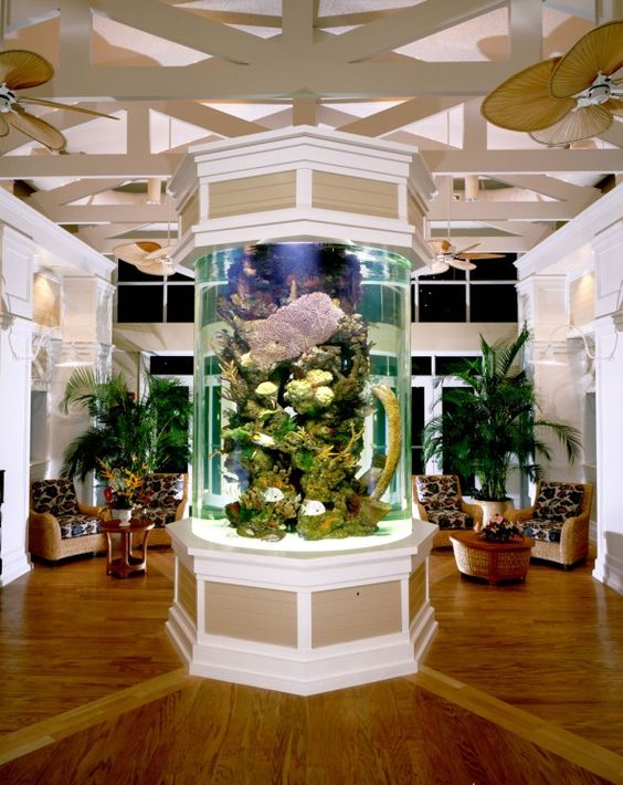 17 Remarkable Aquarium Designs To Enhance & Beautify Your Interi