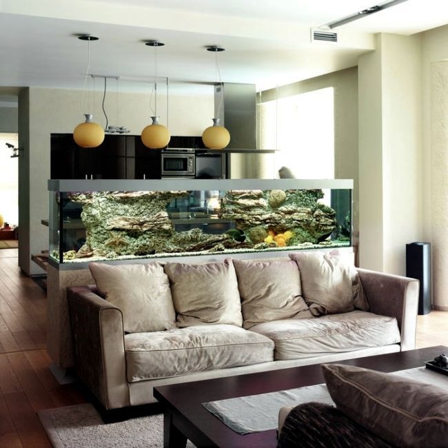 Possibilities to design your interior
with ideas for indoor aquariums