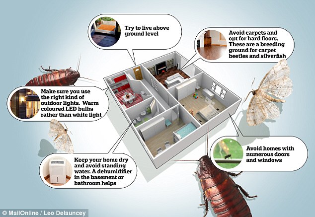 5 ways to prevent bugs from invading your home | Daily Mail Onli