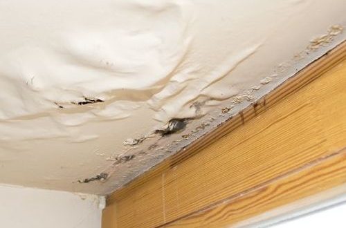 what-to-do-if-your-roof-is-leaking-topsdecor