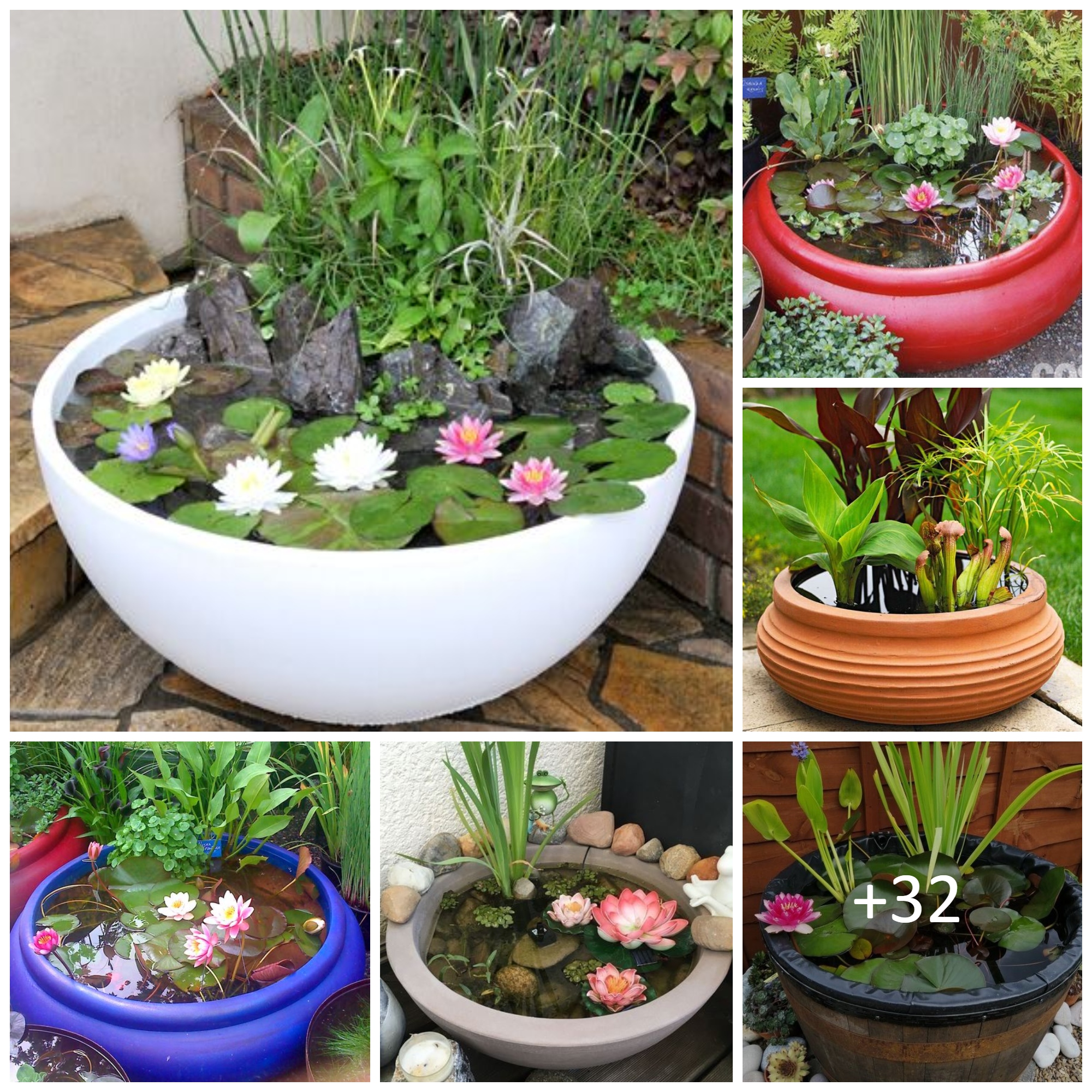 Inspiring DIY water garden ideas