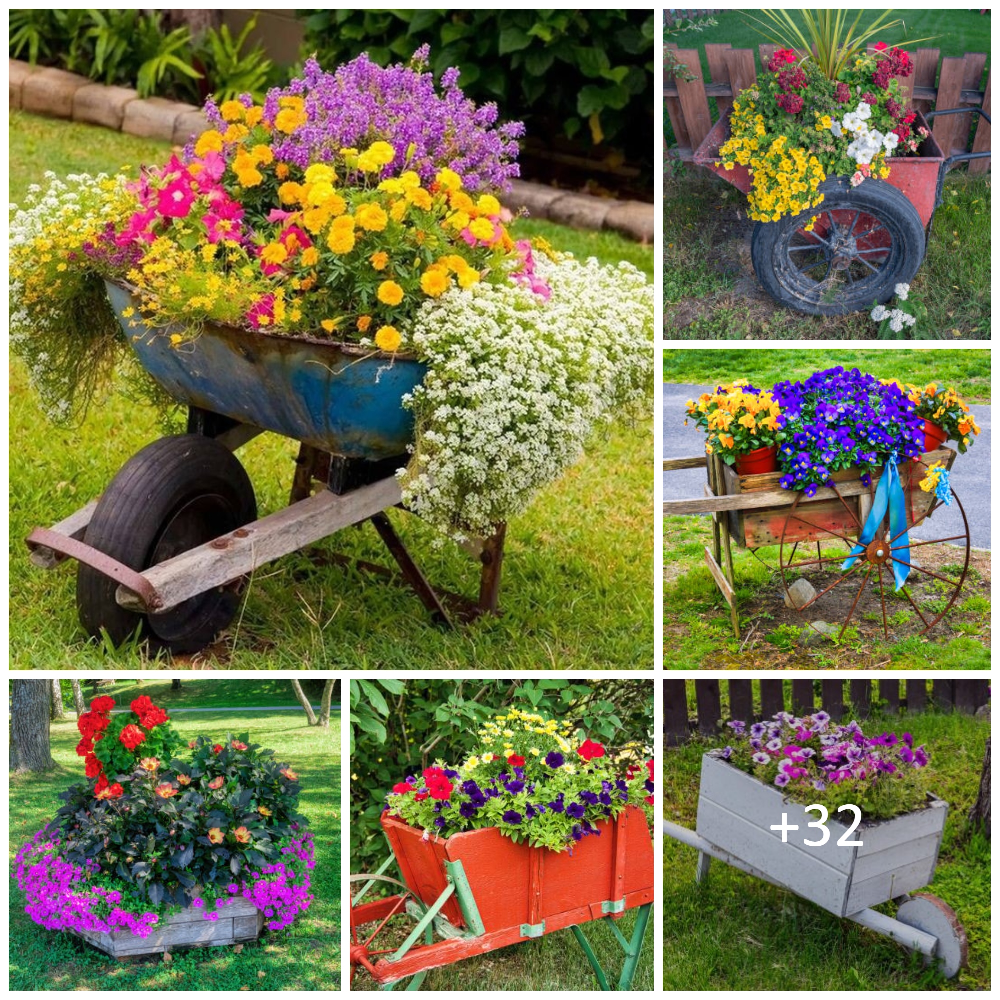Container gardening ideas – display and planting tips