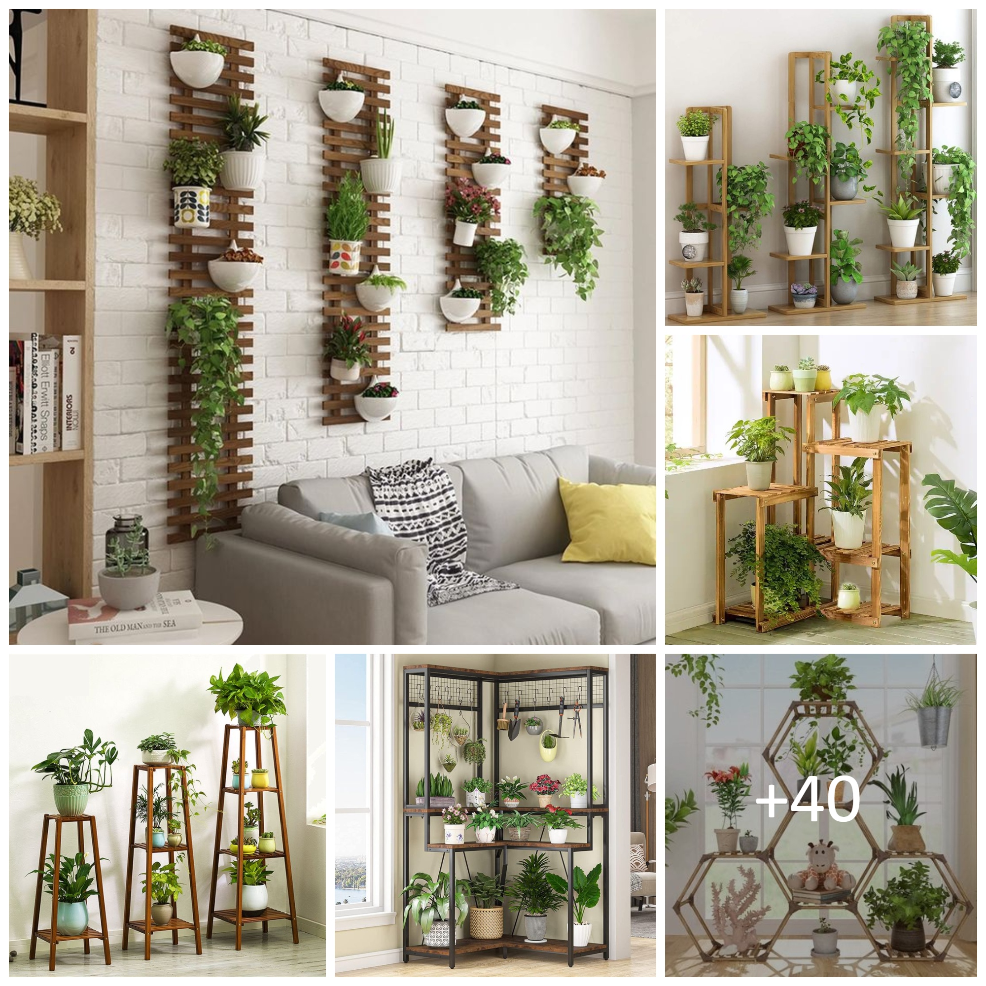 Best Plant Stand Ideas for home