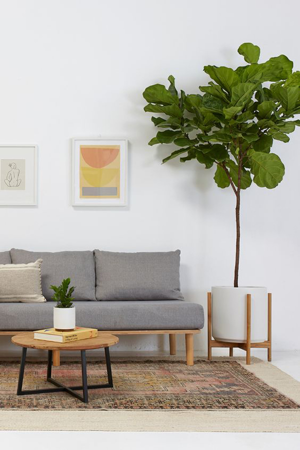 Mid-century-living-room-with-houseplants