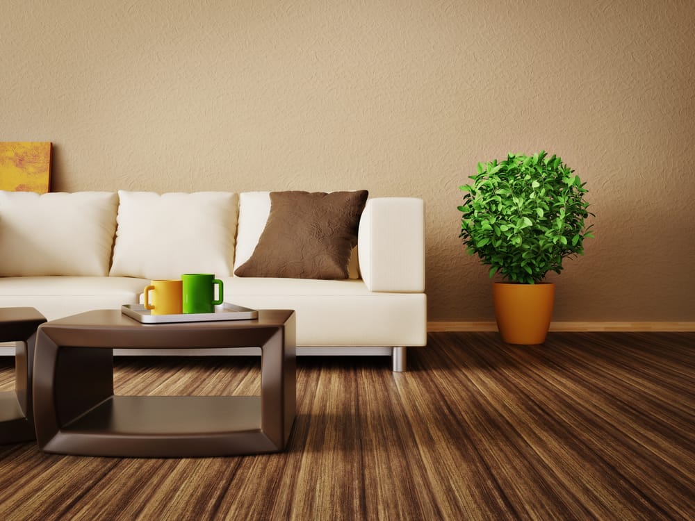modern brown living room couch potted plant