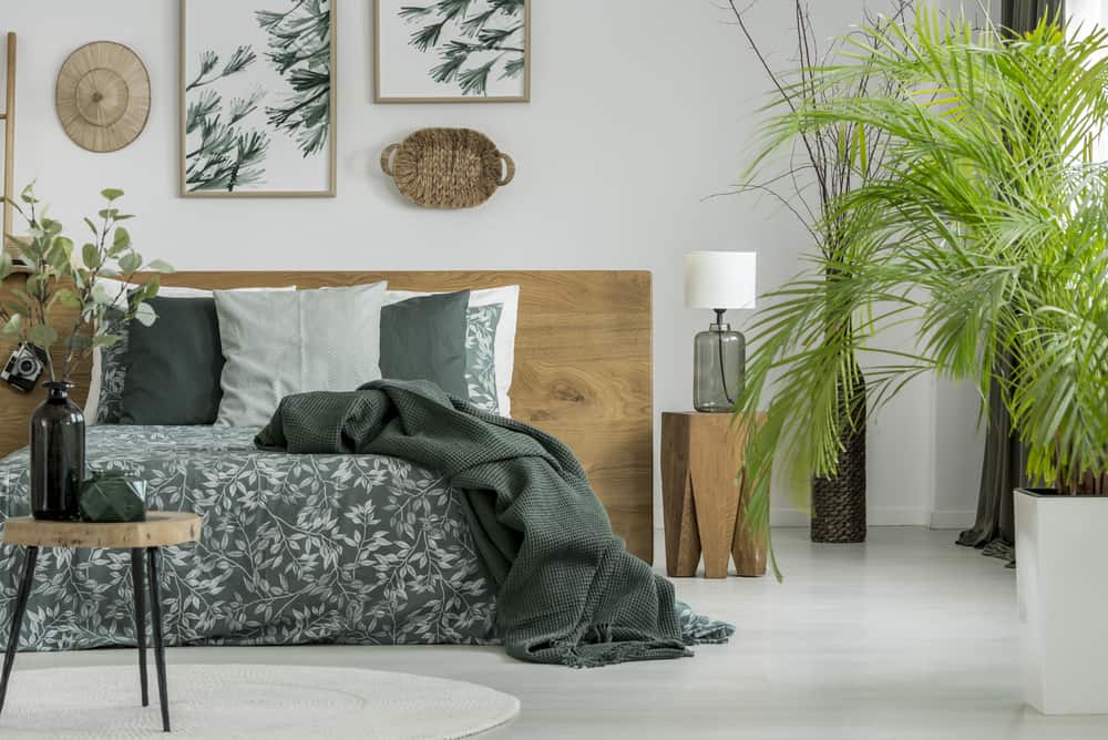 Elegant bedroom, wooden platform, bed, framed wall art, vase with plants 