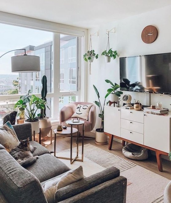 a small boho living room with a gray sofa, a pink chair, a glazed wall, potted plants and a white TV