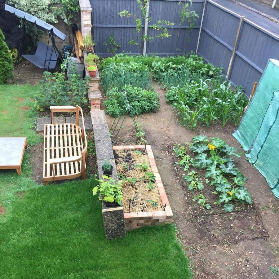 small vegetable garden in the backyard