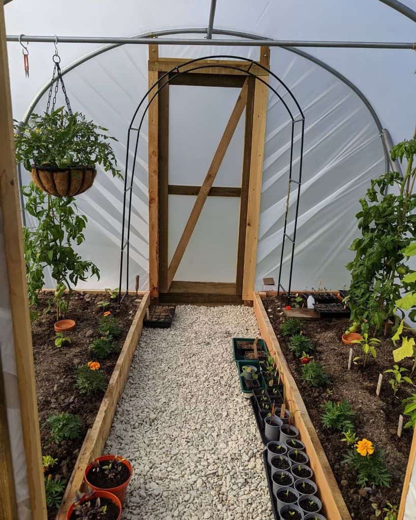 well-kept greenhouse vegetable garden 