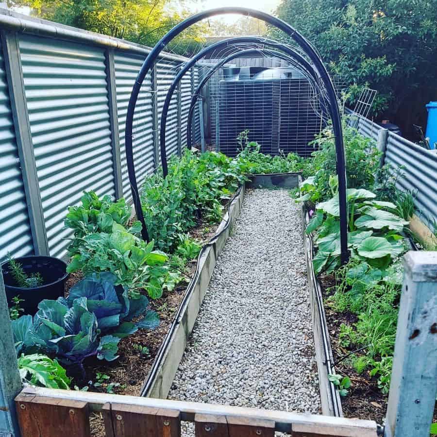 small narrow vegetable garden with gravel path