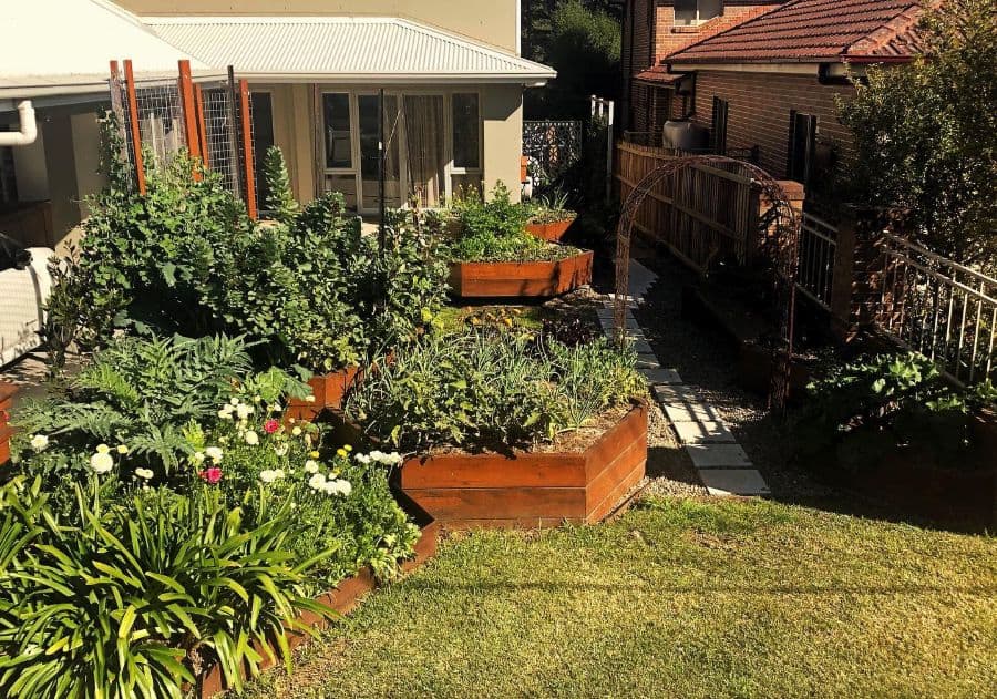 Planter ideas for the backyard vegetable garden