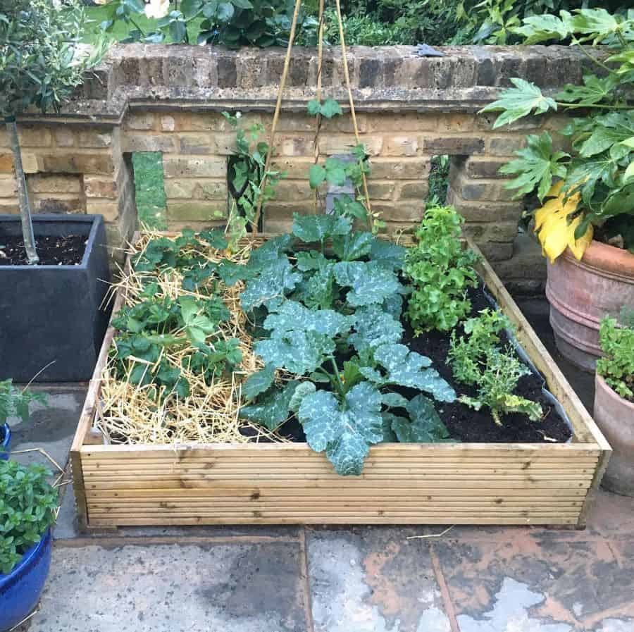 small wooden planter, vegetable bed garden 