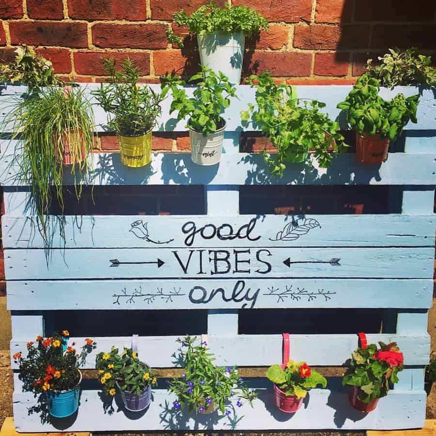 Blue vertical pallet garden with potted plants 