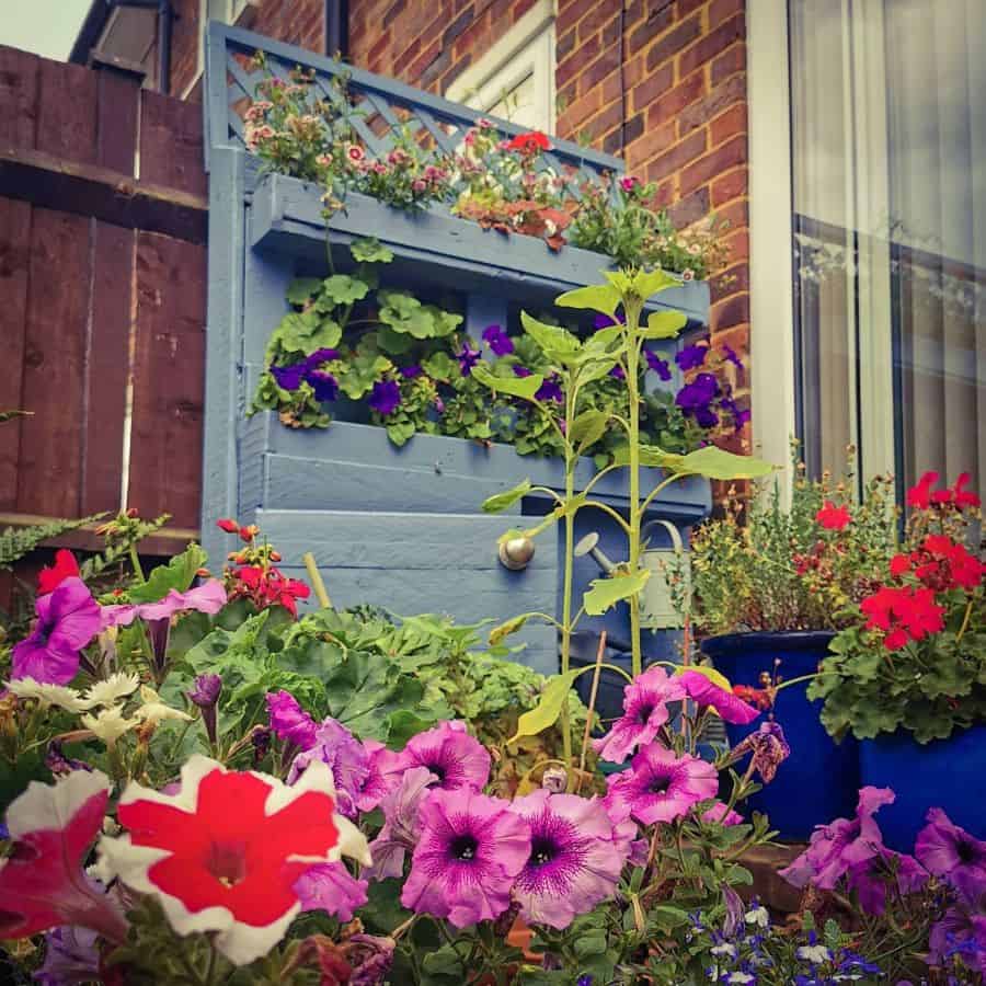 Upcycled blue painted pallet garden 