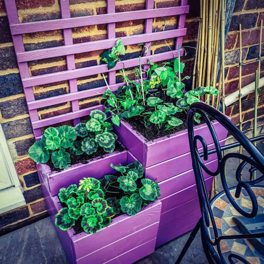Upcycling ideas for purple pallet gardens 