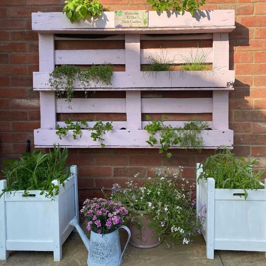 White painted wall pallet garden 
