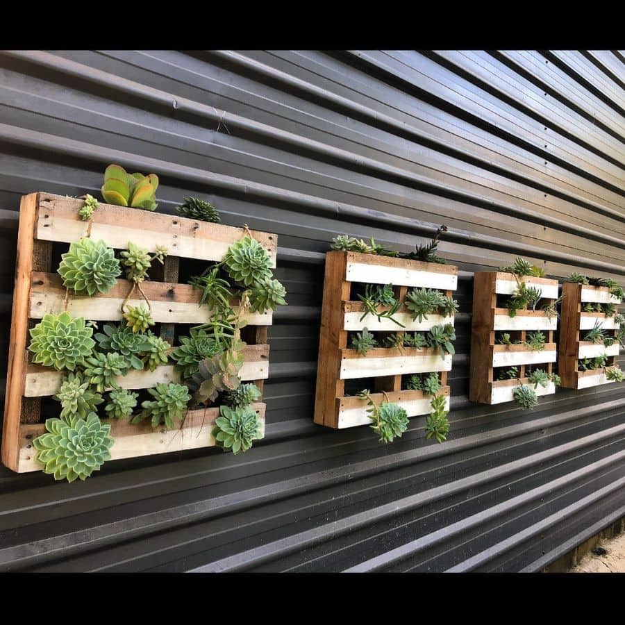 small wall pallet gardens