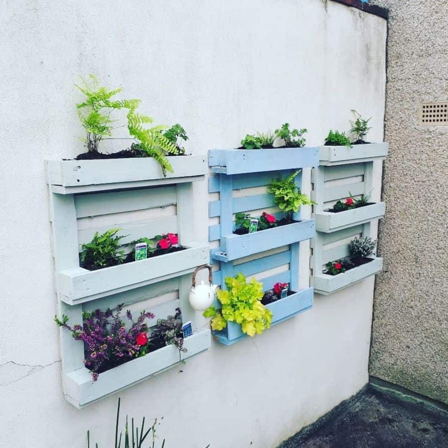 Painted wall pallet gardens