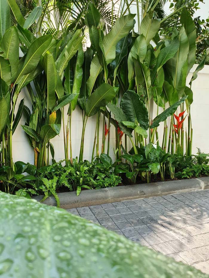 Reduce heat radiation from plants