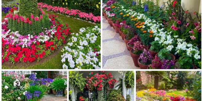 Flower Bed Ideas That Will Inspire Your Garden Design – TopsDecor.com