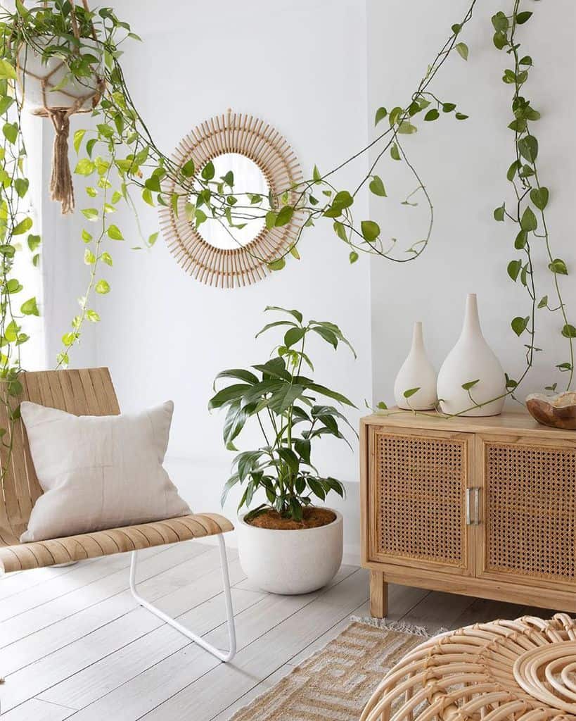Boho living room plants, wicker furniture 