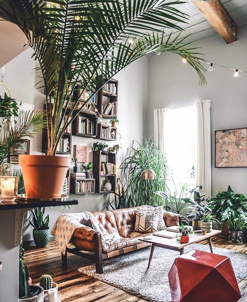 Artistic home decoration ideas with plants 7
