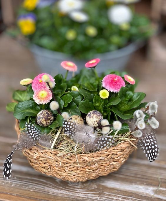 A pretty Easter centerpiece in the form of a basket with potted flowers and greenery, willow, feathers and eggs is amazing