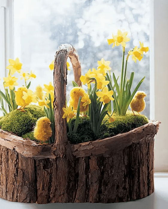 A wooden basket filled with moss, yellow daffodils and artificial chicks makes a fantastic rustic decoration for any room, even outdoors