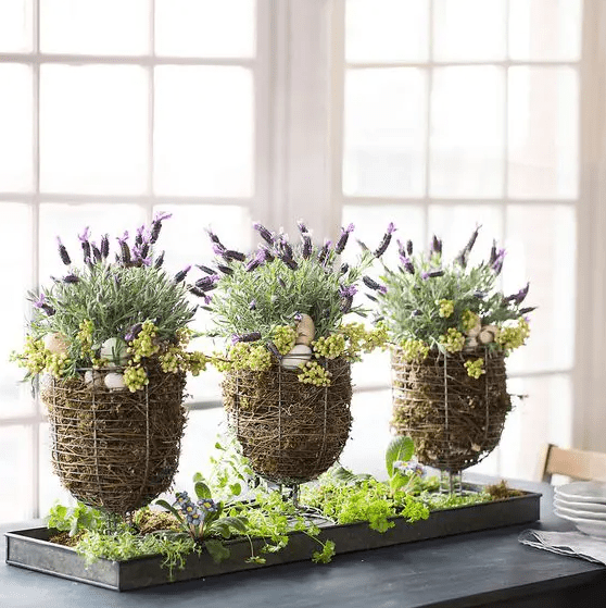 Wire urn baskets with moss. Eggs and spring flowers will be a beautiful centerpiece of Easter decorations