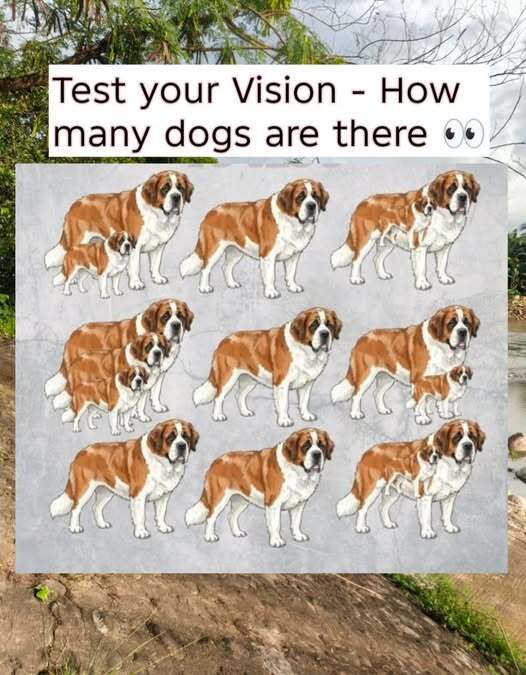 Can You Find All the Dogs? Put Your Observation Skills to the Test