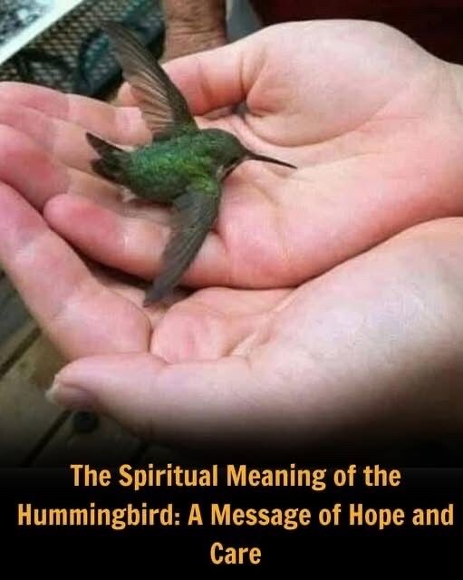 The Spiritual Meaning Behind a Hummingbird Visiting Your Home