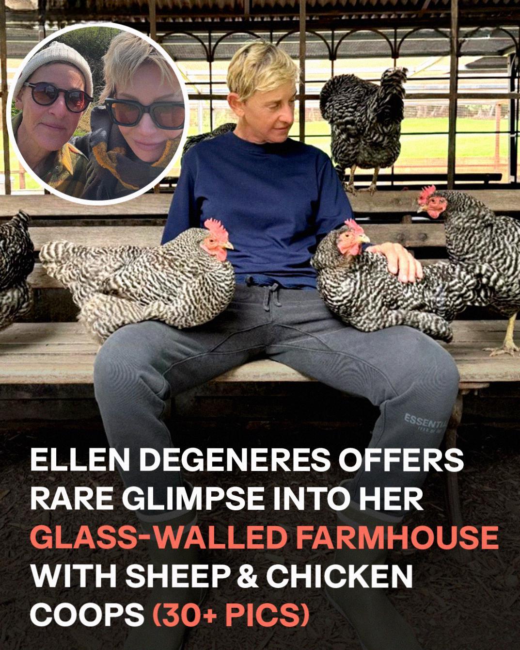Inside Ellen DeGeneres’ Stunning English Countryside Retreat – A Rare Look at Her Peaceful Escape