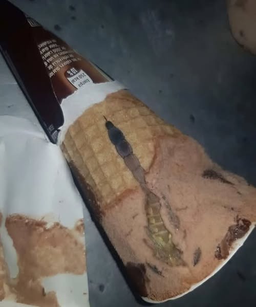 She Found Something Unexpected Hidden Inside Her Ice Cream — and It Left Everyone Shocked