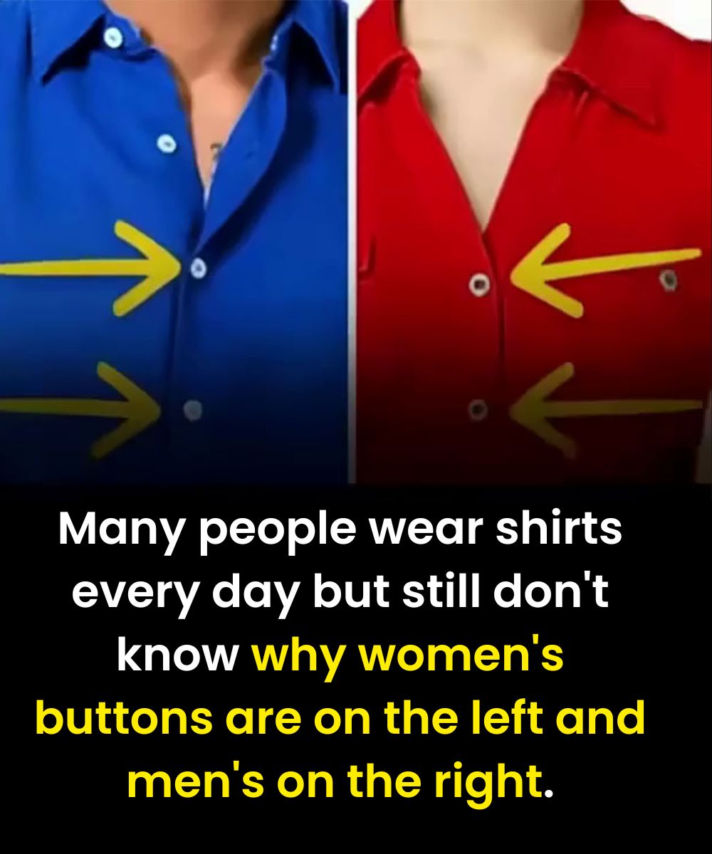 The Surprising Reason Women’s Shirts Button on the Opposite Side of Men’s