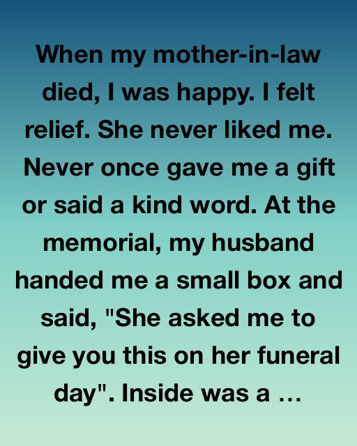 I Nearly Threw Away the Box She Left Behind — But What I Found Inside Changed Everything