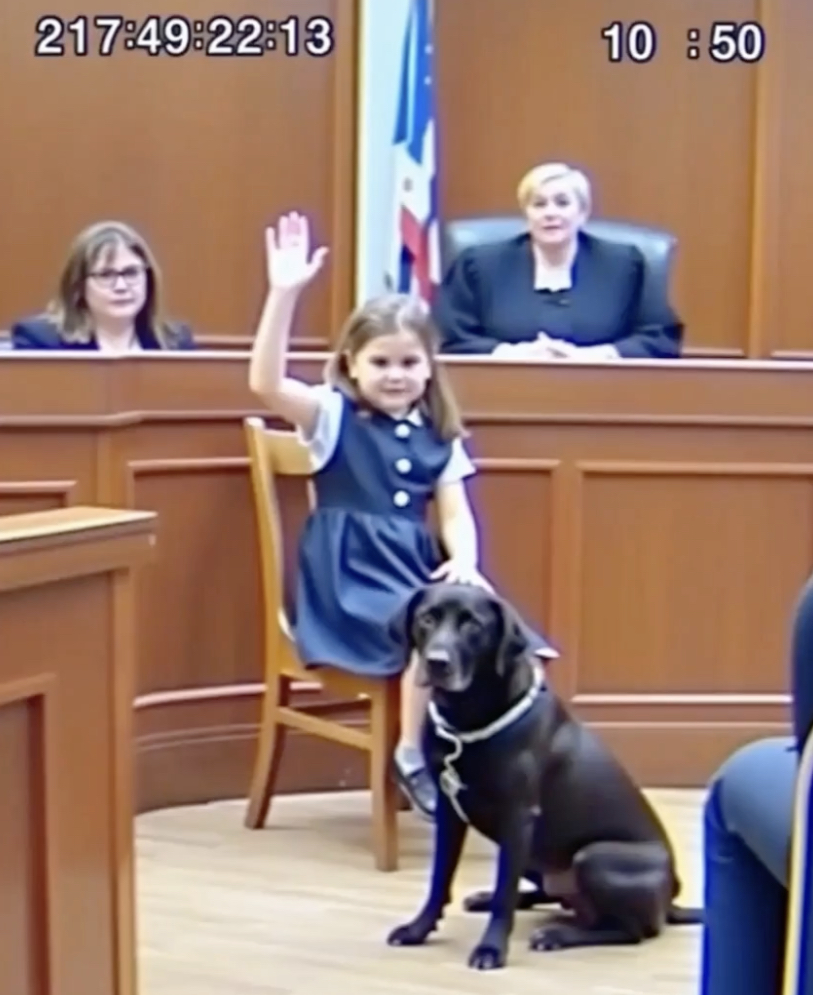 How a Silent Signal to Her Dog Gave Her the Courage to Speak in Court