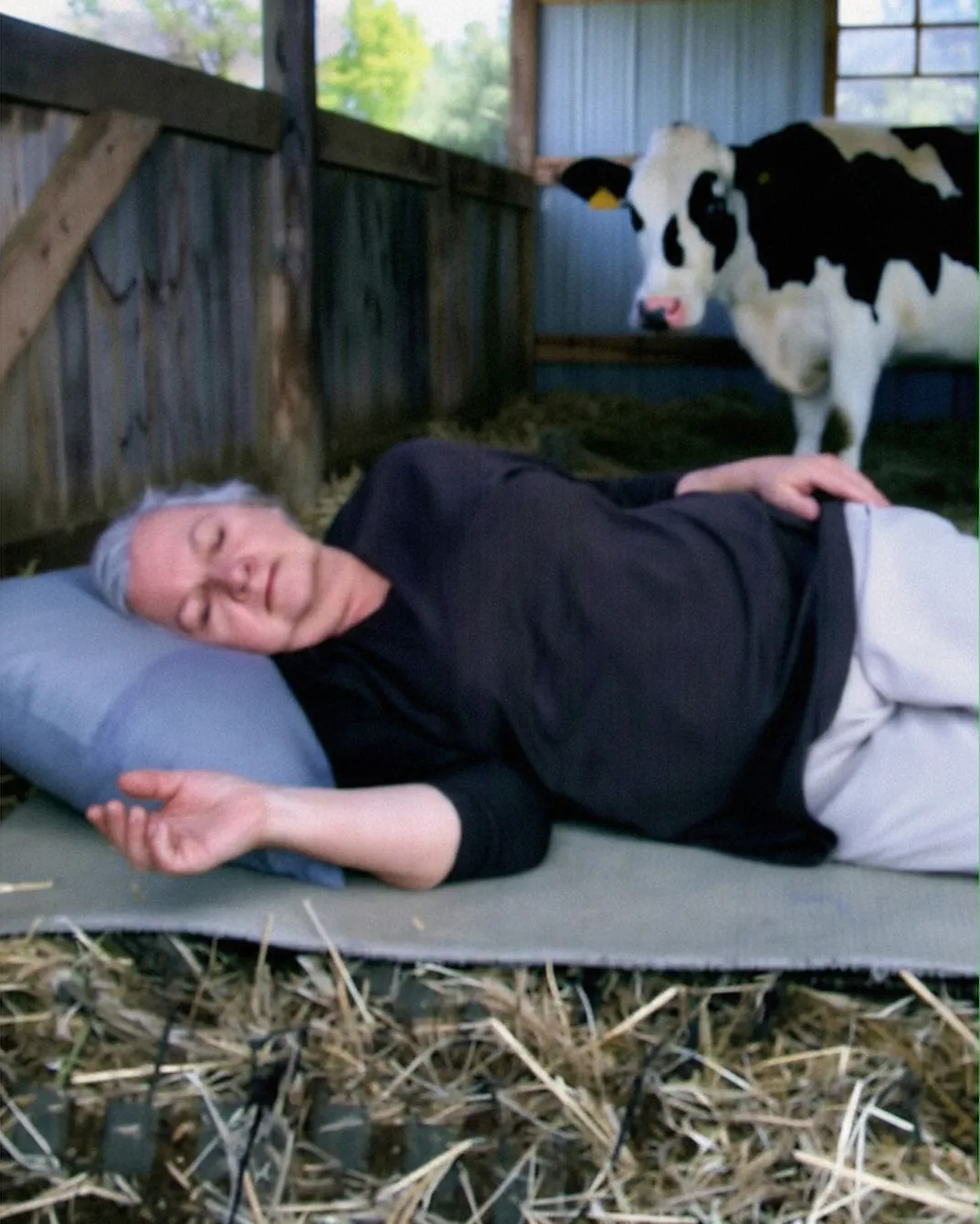 The Barn, the House, and My Journey Back Home