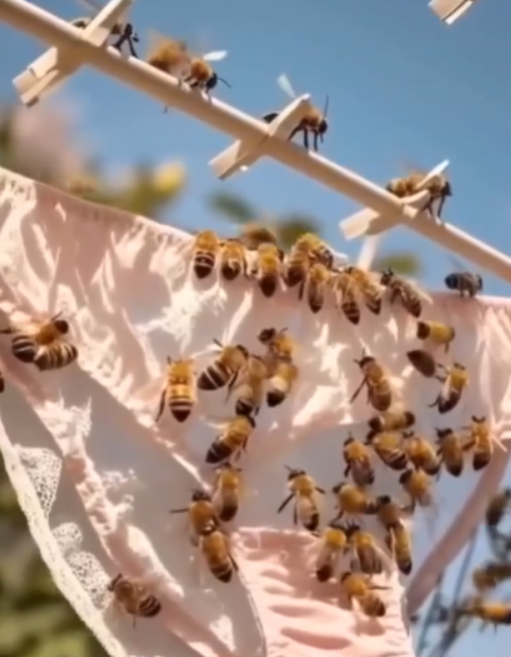 Why Bees Are Attracted to Freshly Washed Laundry — and Smart Ways to Keep Them Away
