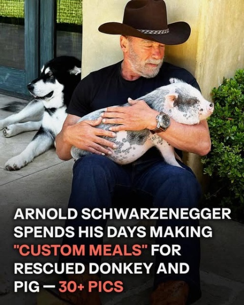 At 78, Arnold Schwarzenegger Embraces Peaceful Days at Home in Los Angeles With His Partner and Beloved Pets