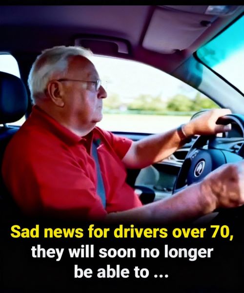Important Notice for Drivers Over 70: Updated Guidelines Are on the Way